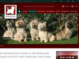 Cairn Kerallan - Elevage cairn terrier, toilettage Brest (Bretagne)